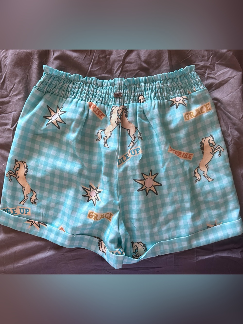 Lucky & Blessed Aqua Gingham Elastic Waist Shorts with horses Star Print